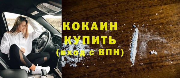 молекула духа Горняк